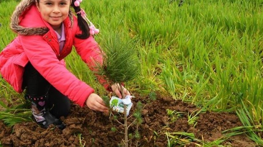 Tekirdağ&rsquo;da &uuml;cretsiz fidan dağıtılacak