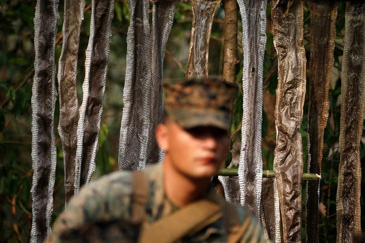 Tatbikat için kobra kanı içtiler! G1