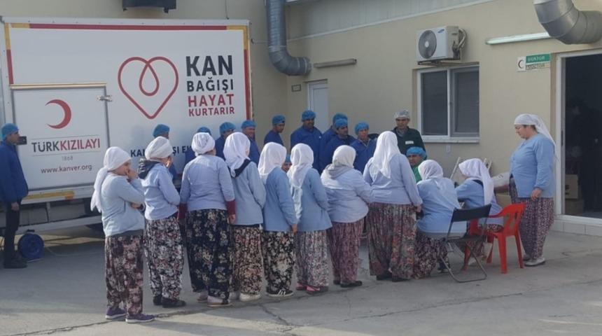 Bu işletme hem ekonomiye hem de sağlığa destek veriyor