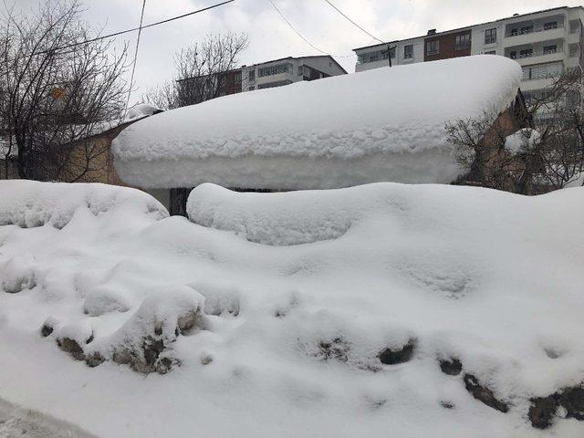 Bitlis’te 193 köy yolu ulaşıma kapandı