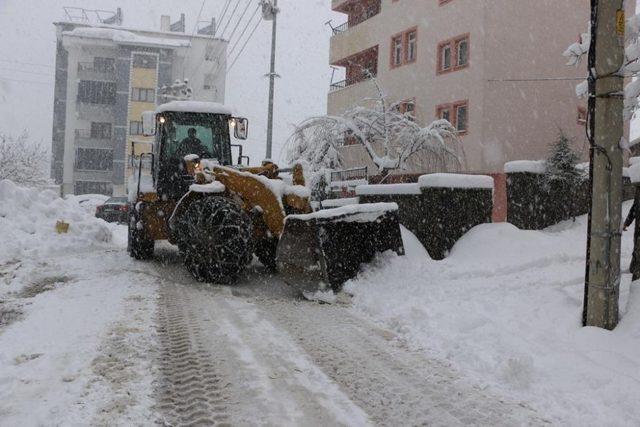 Bingöl’de 281 köy yolu kapandı, okullar tatil edildi