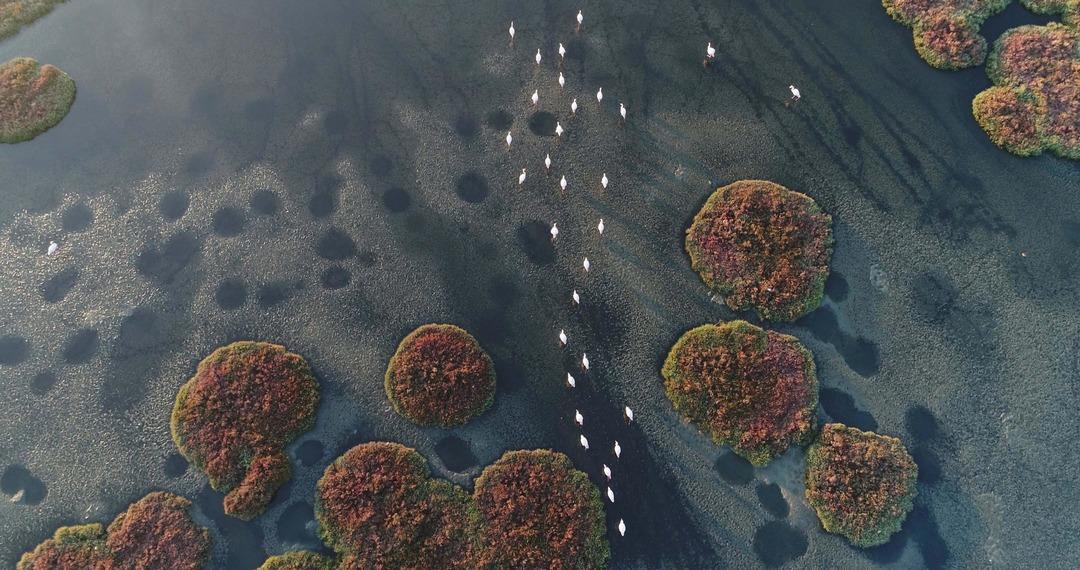 &lsquo;Gediz Deltası UNESCO D&uuml;nya Doğa Mirası olarak kabul edilmeli&rsquo;