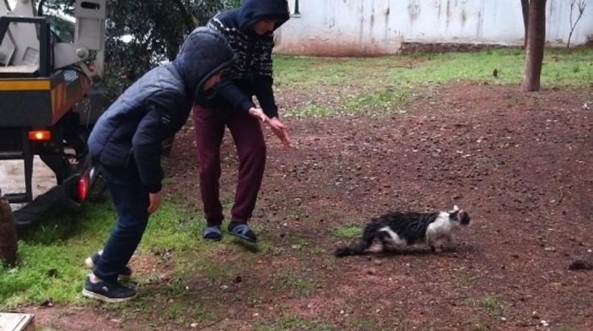 Ağa&ccedil;ta mahsur kalan kedi 2 g&uuml;n sonra kurtarıldı
