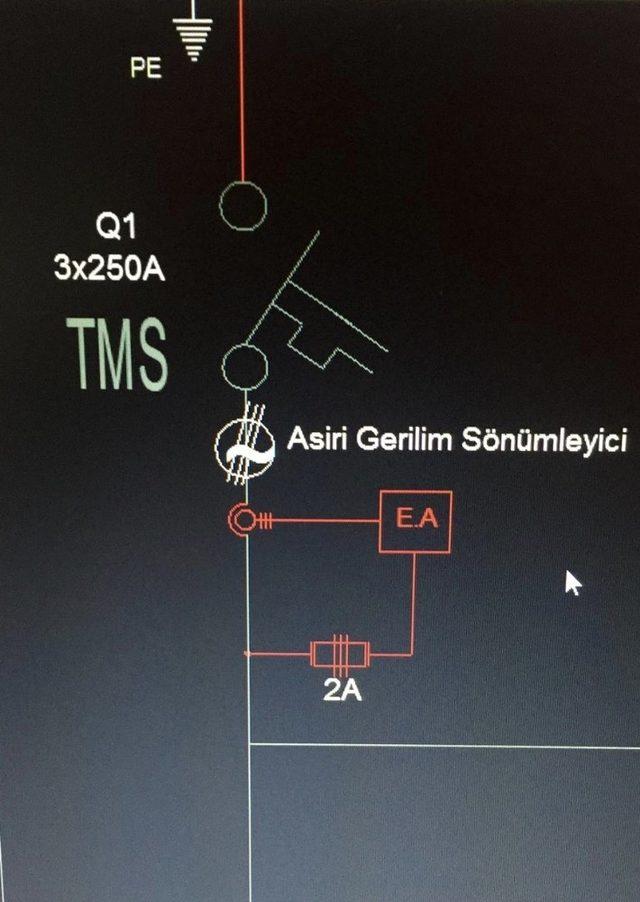 Türkiye’den dünyaya bir sembol