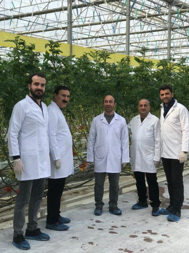 VANTB Başkanı Nayif Süer, eksi 40 derecede üretilen domates serasını ziyaret etti