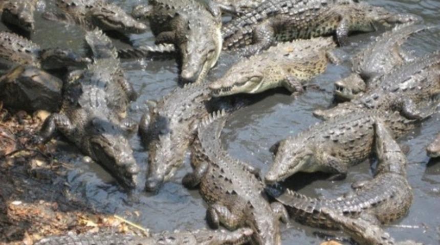 D&uuml;nyanın en tehlikeli adaları