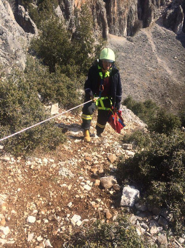 Kanyonda keçi kurtarma operasyonu