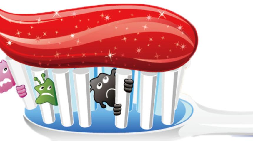 Dikkat! Diş fırçanızda dışkı olabilir! 