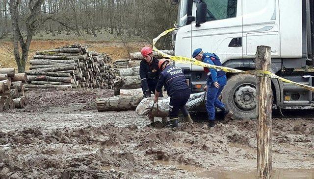 Tırdan yuvarlanan tomruk şoförün ölümüne neden oldu