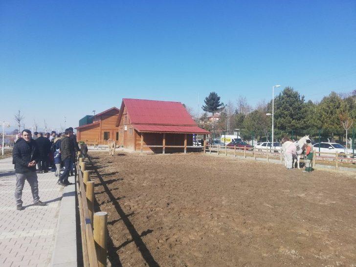 Güneşli havayı fırsat bilen Malatyalılar Tabiat Parkına koştu G1