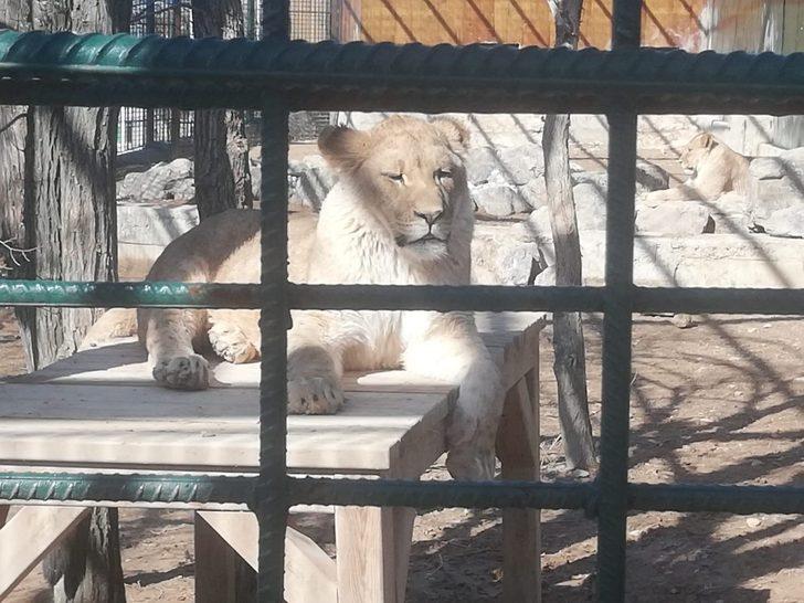 Güneşli havayı fırsat bilen Malatyalılar Tabiat Parkına koştu G2