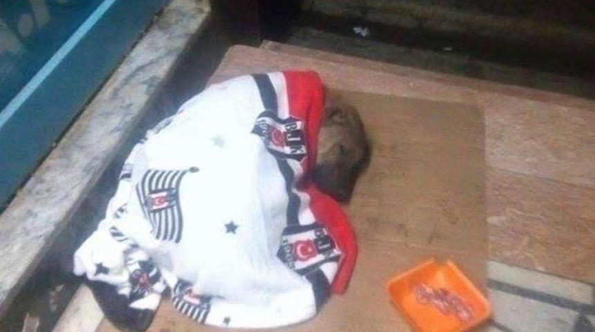 &Ouml;ğretmenden &ouml;rnek davranış