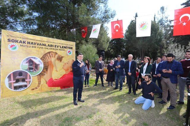 Kepez’in sokak hayvanları Dokumapark’ta ’EV’lendi