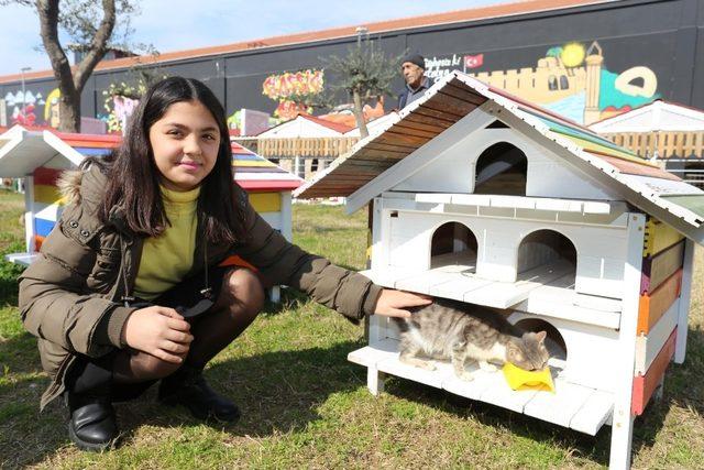 Kepez’in sokak hayvanları Dokumapark’ta ’EV’lendi