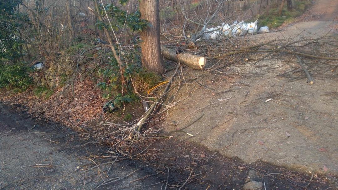 Kestiği ağa&ccedil;la birlikte yere d&uuml;şen kişi ağır yaralandı