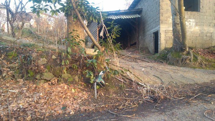 Kestiği ağaçla birlikte yere düşen kişi ağır yaralandı G2