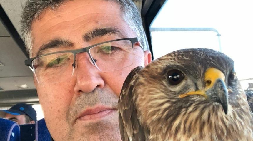 Dağcılar yaralı şahini kurtardı