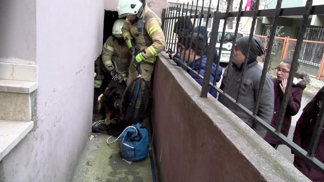 5 metrelik kuyuya d&uuml;şen k&ouml;pek kurtarıldı 