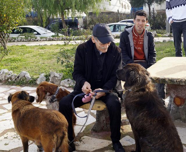 Kanser hastası oldu, köpeklerinden vazgeçmedi