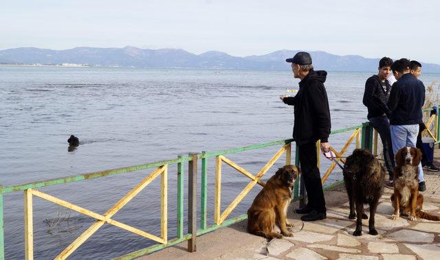 Kanser hastası oldu, köpeklerinden vazgeçmedi