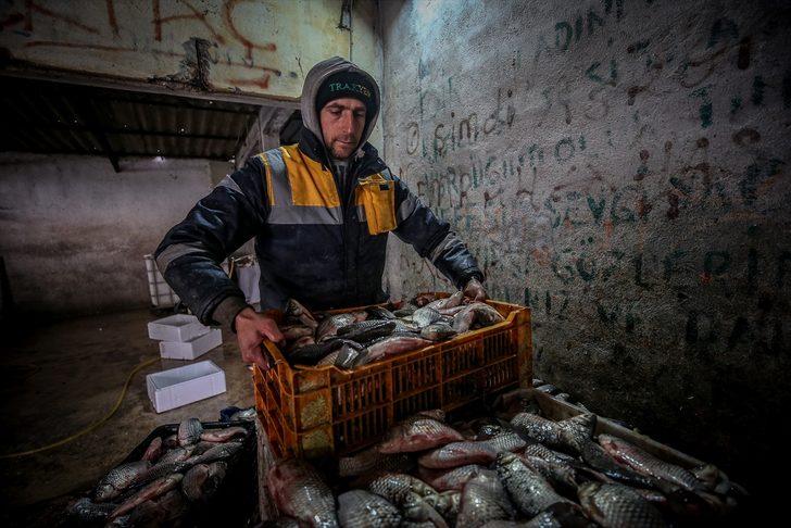  Manyas'tan çıkıyor Irak ve Suriye'de tüketiliyor G2