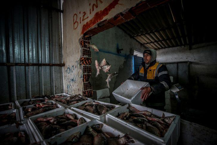  Manyas'tan çıkıyor Irak ve Suriye'de tüketiliyor G4