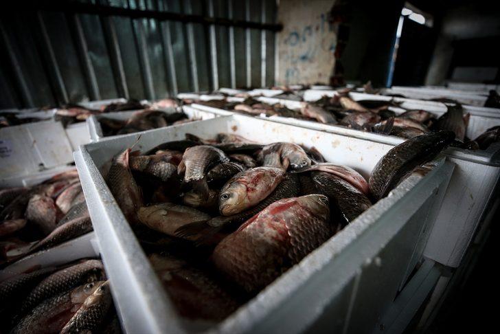  Manyas'tan çıkıyor Irak ve Suriye'de tüketiliyor G5