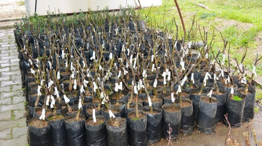 &Ccedil;ift&ccedil;isini destekleyen belediye