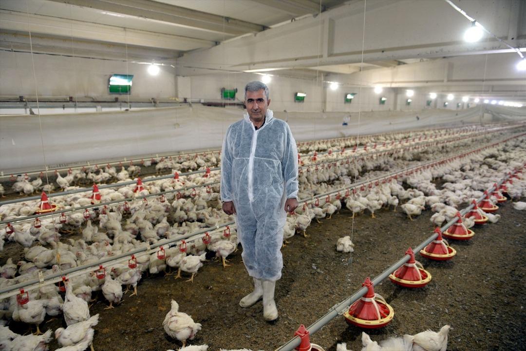 Emekli astsubay devlet desteğiyle &ccedil;iftlik kurdu