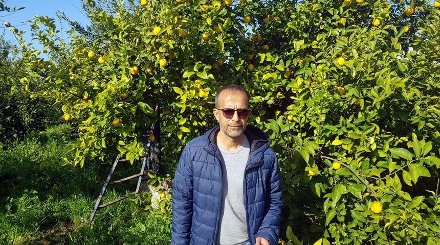 Dalaman'daki portakal ve limon üreticisi destek bekliyor