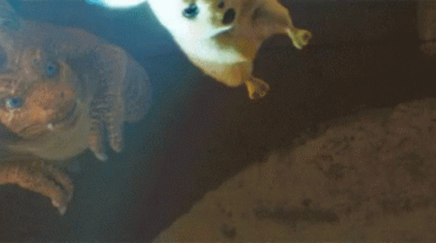 Pokemonlar Detective Pikachu ile geri dönüyor! İşte yeni fragman