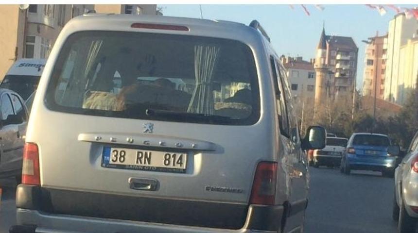 Dana aracın bagajında yolculuk etti