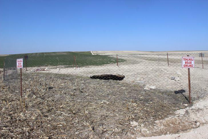 Köpeklerin sesiyle dışarı çıktı, dev çukurla karşılaştı! G1