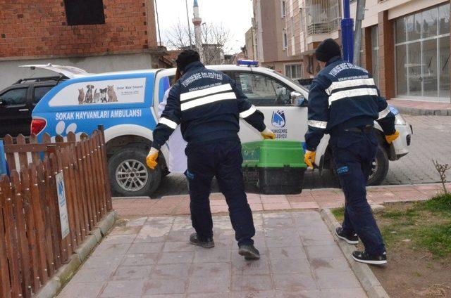 Yunusemre’de hayvan ambulansı hizmet başladı