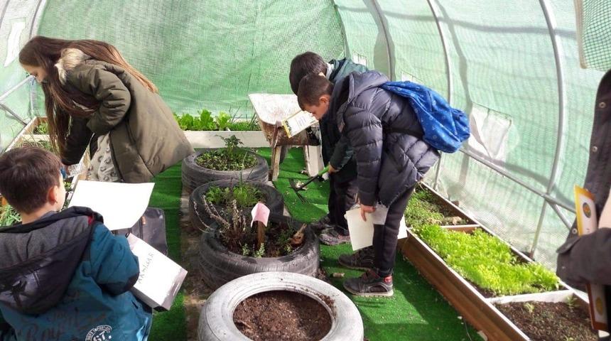 &Ouml;ğrenciler okulda kurdukları serada &uuml;retim yapıyor