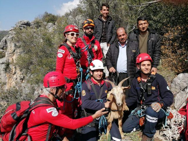 Yamaçta mahsur kalan keçi AKUT ekiplerince kurtarıldı