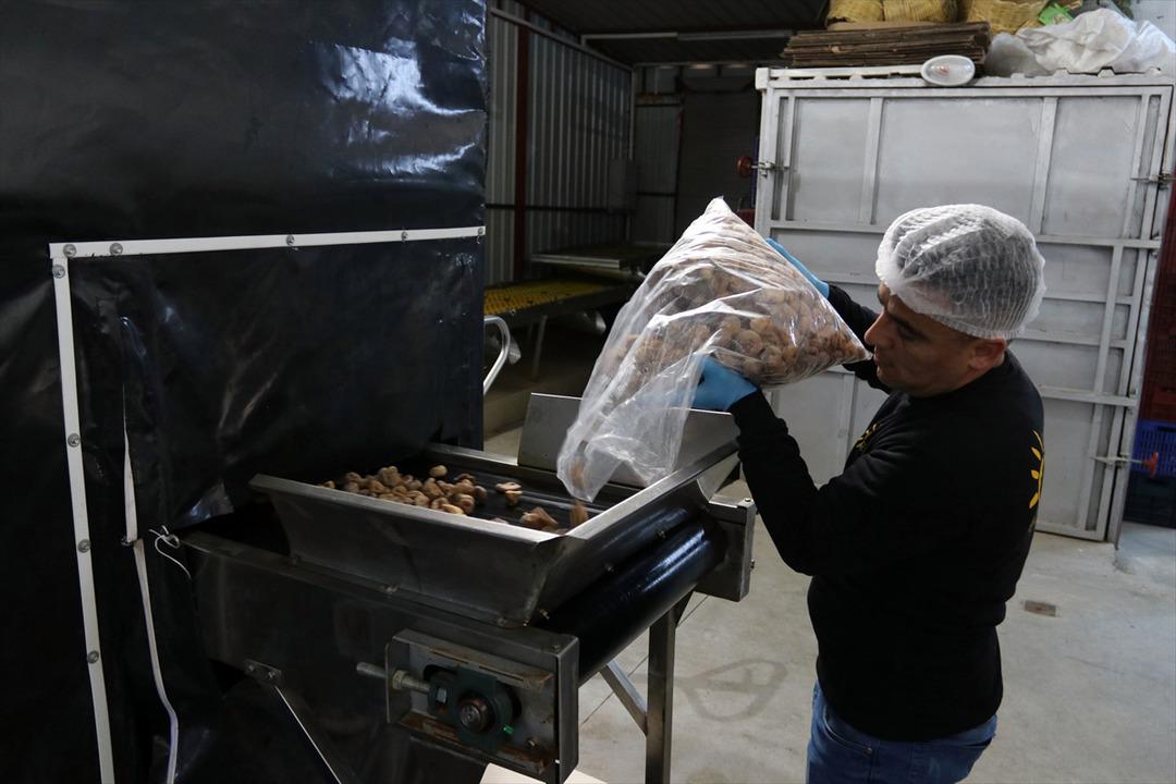 Devlet desteğiyle işletme kurdu, 3 yıl sonra ihracat yaptı