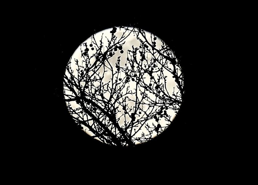 Başkentte 'S&uuml;per Ay' b&uuml;y&uuml;ledi