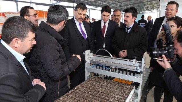 Tıbbi ve Aromatik Bitkiler Vadisi tamamlandı