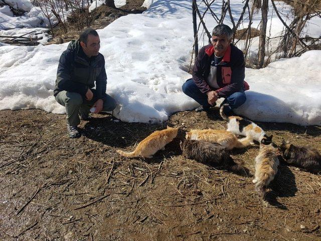 Hakkari’de doğaya yem bırakıldı