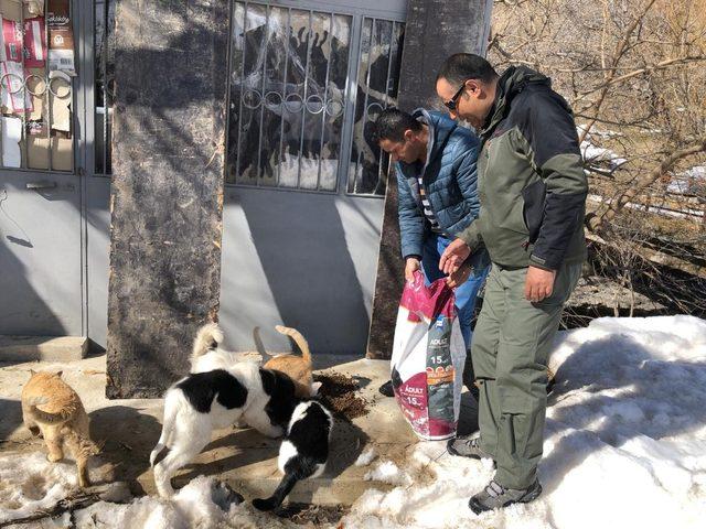 Hakkari’de doğaya yem bırakıldı