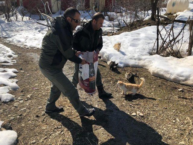 Hakkari’de doğaya yem bırakıldı