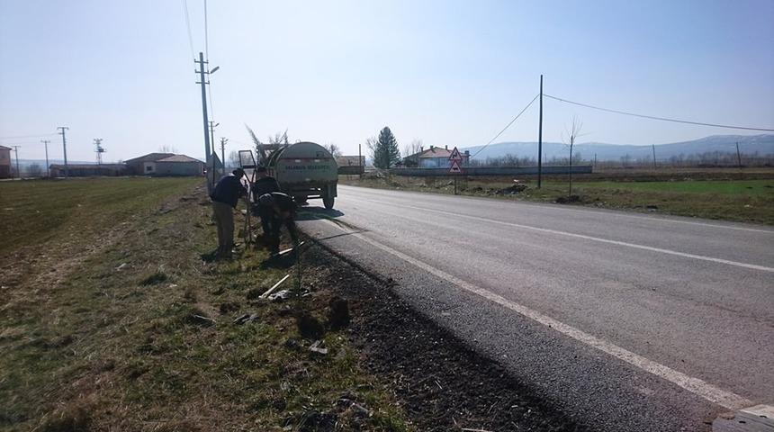 Aslanapa’da bin 600 fidan toprakla buluştu