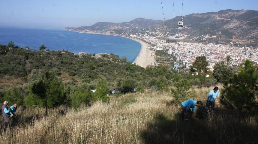 Alanya Kalesi&rsquo;nde badem fidanı dikimine başladı