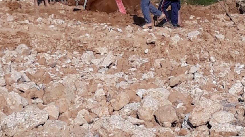 Cizre&rsquo;de bataklığa saplanan ineği itfaiye ekipleri kurtardı