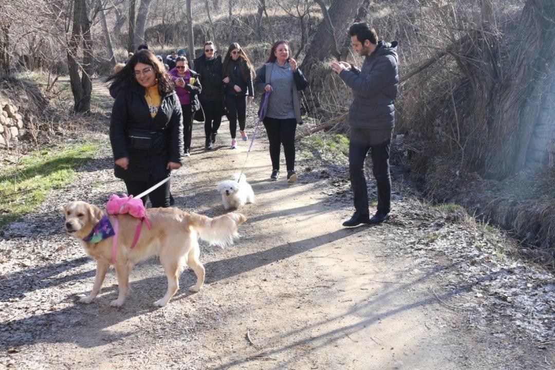 &lsquo;Sessiz Patiler&rsquo; doğa y&uuml;r&uuml;y&uuml;ş&uuml;nde