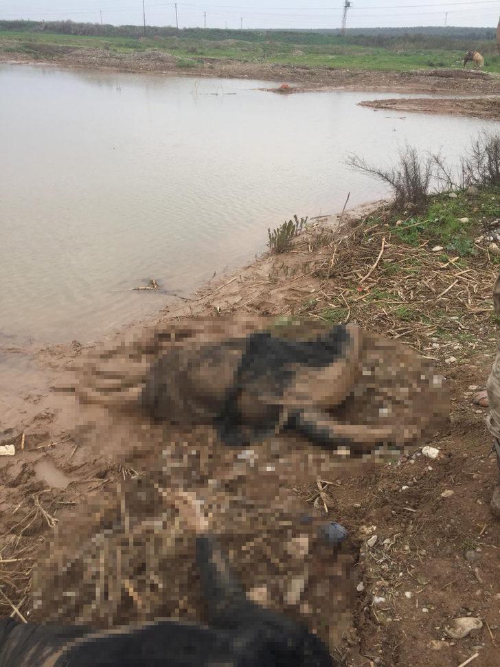 Hatay'a kan donduran görüntü! 3 kadın bu halde bulundu G3