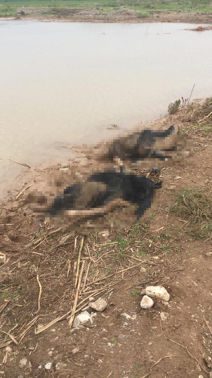 Hatay'a kan donduran görüntü! 3 kadın bu halde bulundu G2