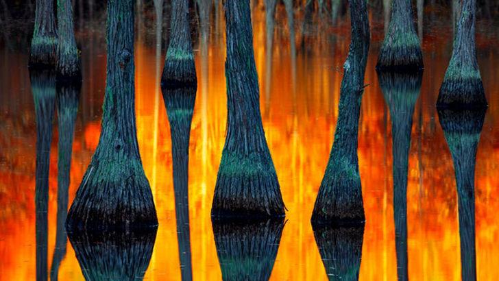 2018 Uluslararası Peyzaj Fotoğrafçısı yarışmasından unutulmaz fotoğraflar G3