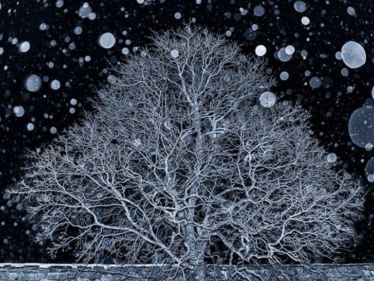 2018 Uluslararası Peyzaj Fotoğrafçısı yarışmasından unutulmaz fotoğraflar G4